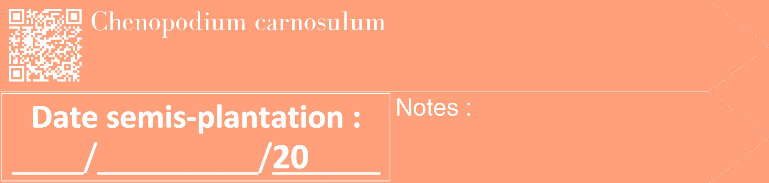 Étiquette de : Chenopodium carnosulum - format c - style blanche39_simple_simplebod avec qrcode et comestibilité