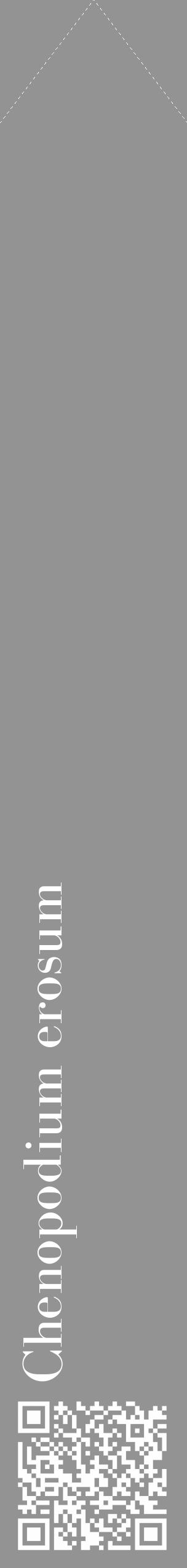 Étiquette de : Chenopodium erosum - format c - style blanche44_simple_simplebod avec qrcode et comestibilité - position verticale