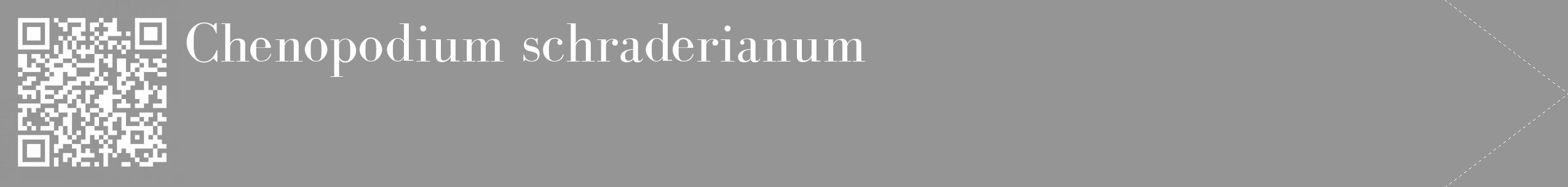Étiquette de : Chenopodium schraderianum - format c - style blanche16_simple_simplebod avec qrcode et comestibilité