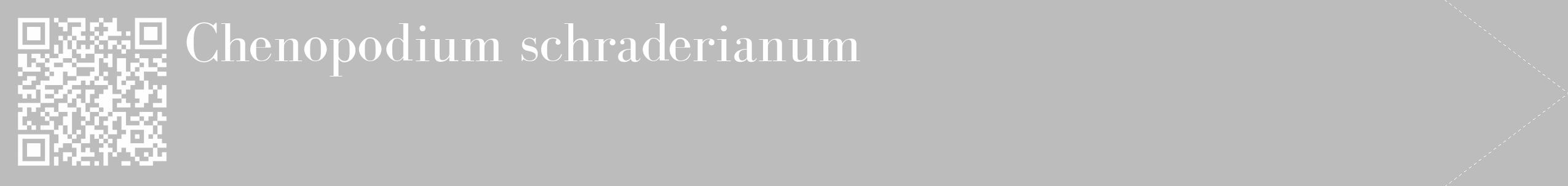 Étiquette de : Chenopodium schraderianum - format c - style blanche1_simple_simplebod avec qrcode et comestibilité