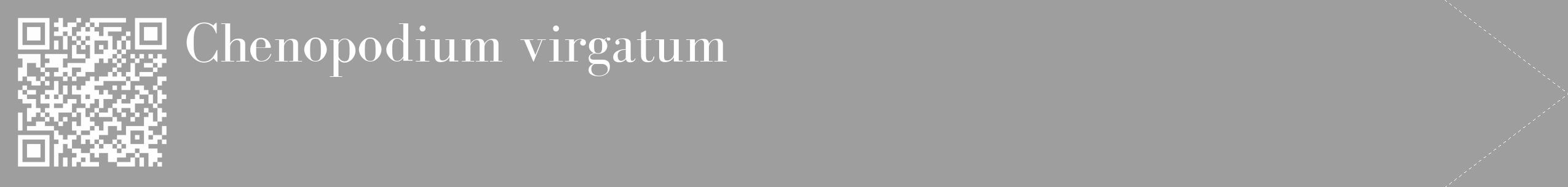 Étiquette de : Chenopodium virgatum - format c - style blanche42_simple_simplebod avec qrcode et comestibilité