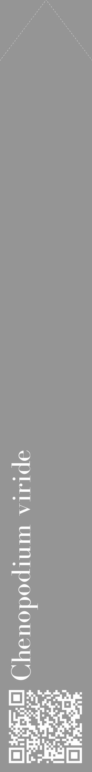 Étiquette de : Chenopodium viride - format c - style blanche16_simple_simplebod avec qrcode et comestibilité - position verticale