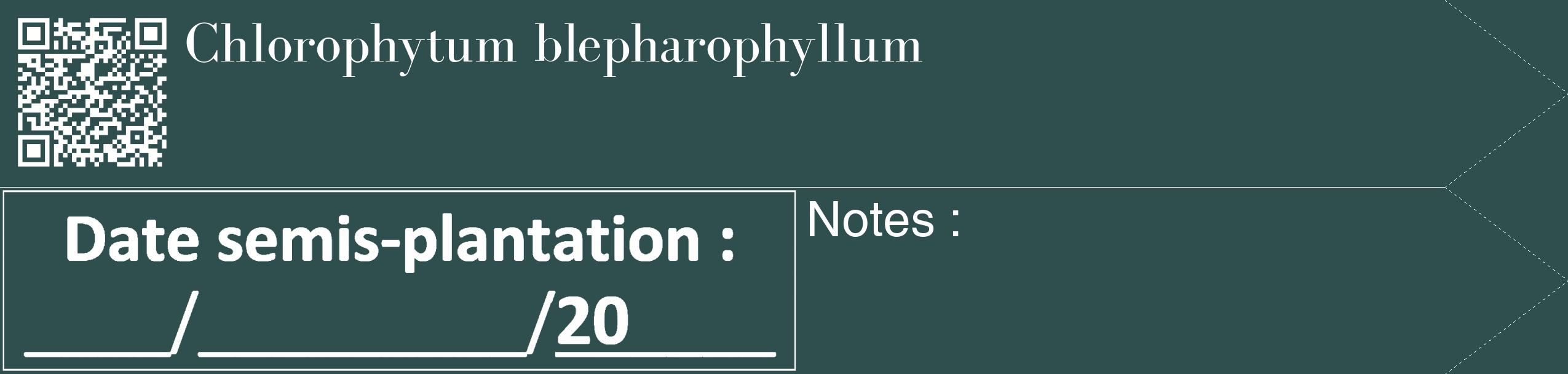 Étiquette de : Chlorophytum blepharophyllum - format c - style blanche58_simple_simplebod avec qrcode et comestibilité