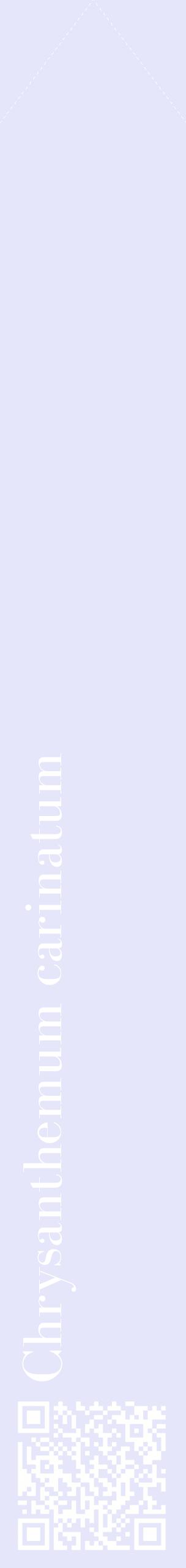 Étiquette de : Chrysanthemum carinatum - format c - style blanche55_simplebod avec qrcode et comestibilité