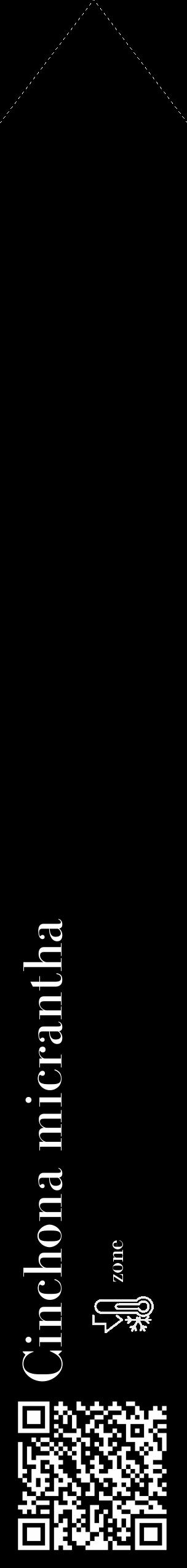 Étiquette de : Cinchona micrantha - format c - style blanche59_simple_simplebod avec qrcode et comestibilité - position verticale