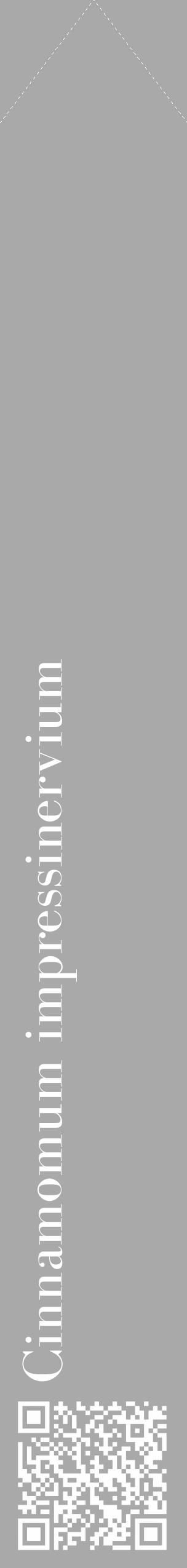 Étiquette de : Cinnamomum impressinervium - format c - style blanche13_simple_simplebod avec qrcode et comestibilité - position verticale