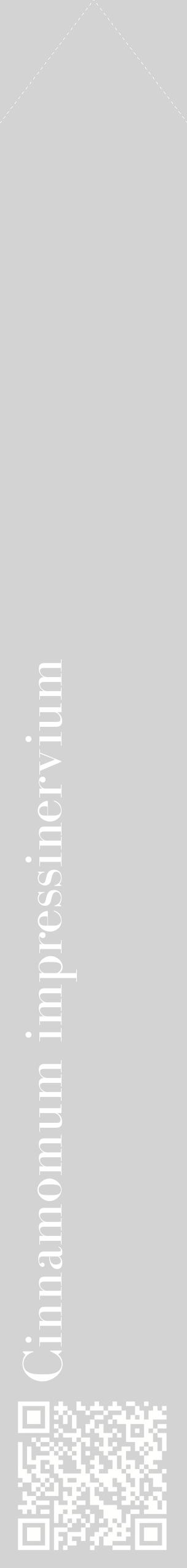 Étiquette de : Cinnamomum impressinervium - format c - style blanche56_simplebod avec qrcode et comestibilité