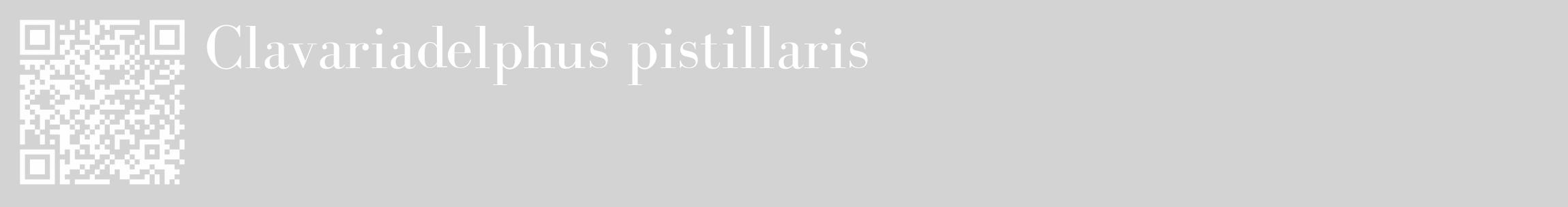 Étiquette de : Clavariadelphus pistillaris - format c - style blanche56_basique_basiquebod avec qrcode et comestibilité