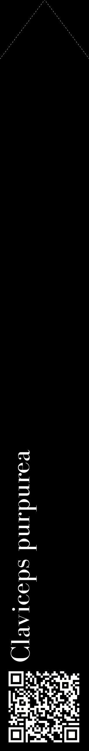 Étiquette de : Claviceps purpurea - format c - style blanche59_simplebod avec qrcode et comestibilité