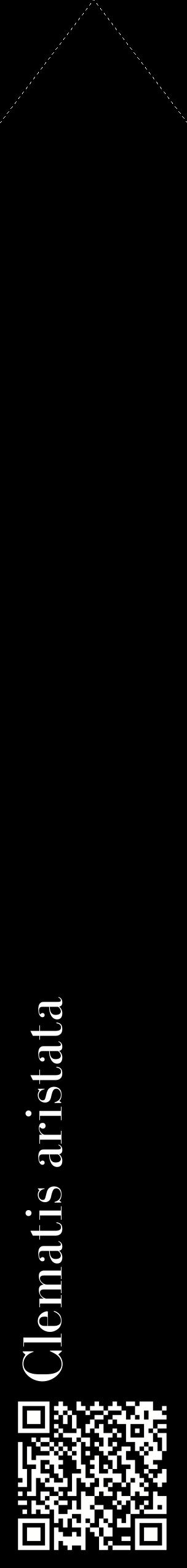 Étiquette de : Clematis aristata - format c - style blanche59_simplebod avec qrcode et comestibilité
