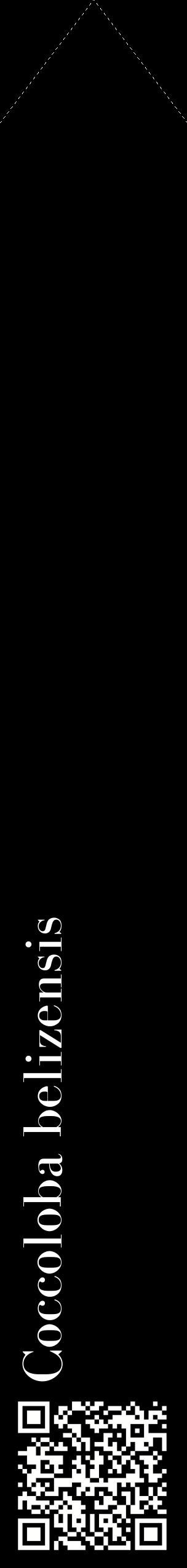 Étiquette de : Coccoloba belizensis - format c - style blanche59_simplebod avec qrcode et comestibilité