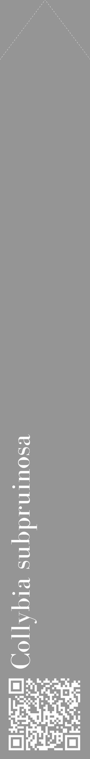 Étiquette de : Collybia subpruinosa - format c - style blanche16_simple_simplebod avec qrcode et comestibilité - position verticale