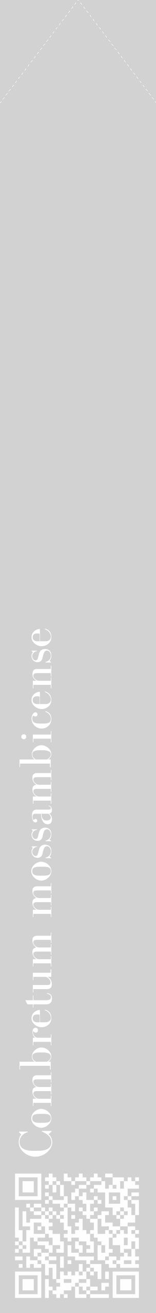 Étiquette de : Combretum mossambicense - format c - style blanche14_simple_simplebod avec qrcode et comestibilité - position verticale