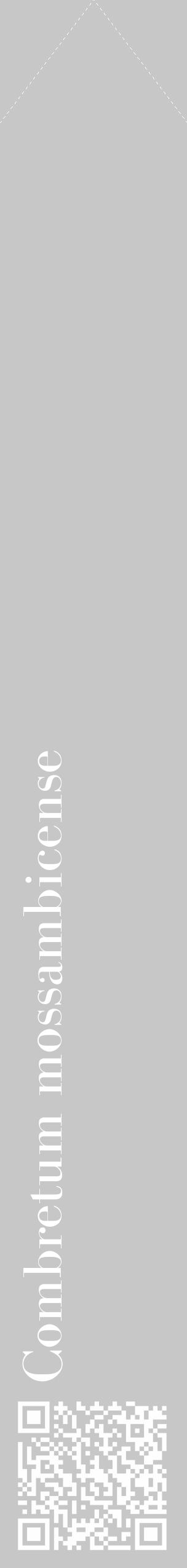 Étiquette de : Combretum mossambicense - format c - style blanche15_simple_simplebod avec qrcode et comestibilité - position verticale