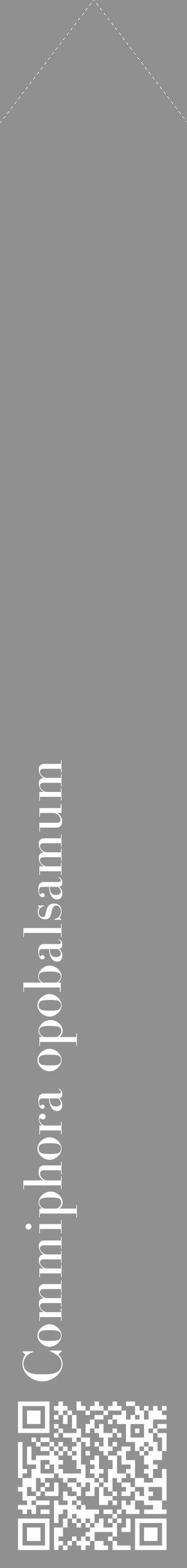 Étiquette de : Commiphora opobalsamum - format c - style blanche4_simple_simplebod avec qrcode et comestibilité - position verticale