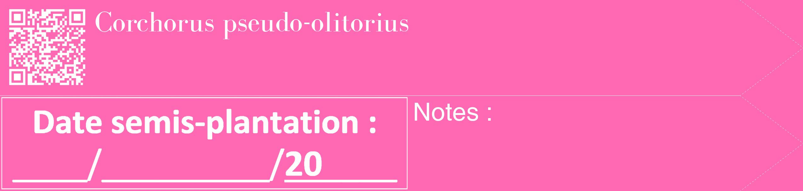 Étiquette de : Corchorus pseudo-olitorius - format c - style blanche42_simple_simplebod avec qrcode et comestibilité