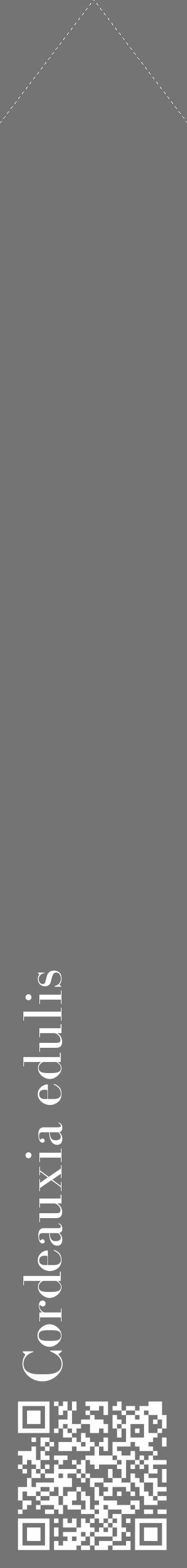 Étiquette de : Cordeauxia edulis - format c - style blanche26_simple_simplebod avec qrcode et comestibilité - position verticale