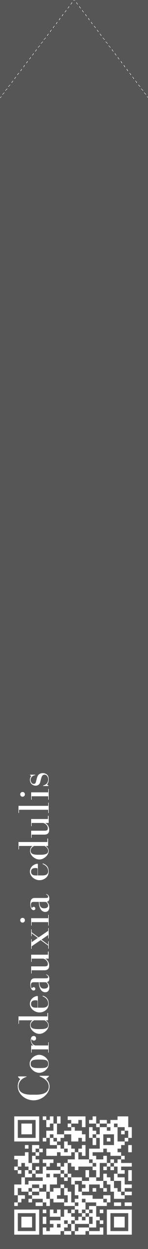 Étiquette de : Cordeauxia edulis - format c - style blanche45_simple_simplebod avec qrcode et comestibilité - position verticale