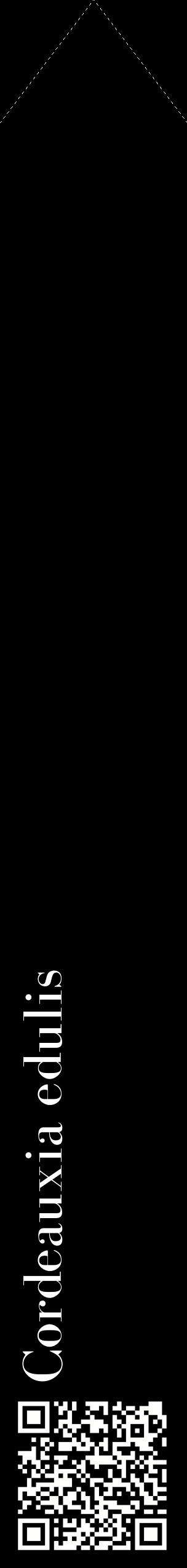 Étiquette de : Cordeauxia edulis - format c - style blanche59_simplebod avec qrcode et comestibilité