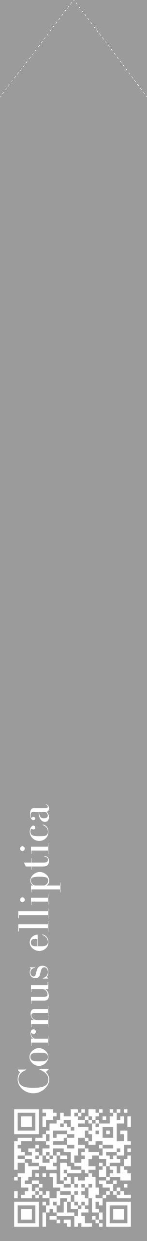 Étiquette de : Cornus elliptica - format c - style blanche52_simple_simplebod avec qrcode et comestibilité - position verticale