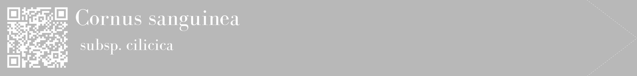 Étiquette de : Cornus sanguinea subsp. cilicica - format c - style blanche39_simple_simplebod avec qrcode et comestibilité