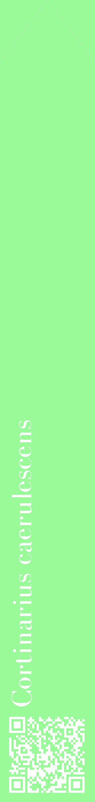 Étiquette de : Cortinarius caerulescens - format c - style blanche14_simplebod avec qrcode et comestibilité