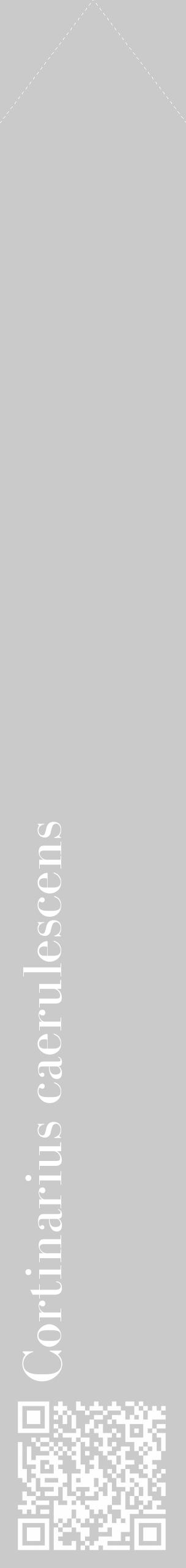 Étiquette de : Cortinarius caerulescens - format c - style blanche21_simple_simplebod avec qrcode et comestibilité - position verticale