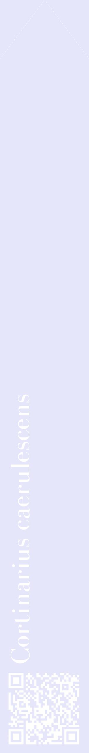 Étiquette de : Cortinarius caerulescens - format c - style blanche55_simplebod avec qrcode et comestibilité