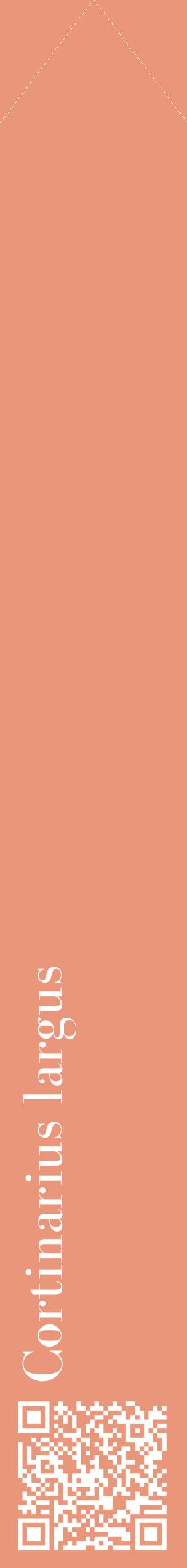 Étiquette de : Cortinarius largus - format c - style blanche37_simplebod avec qrcode et comestibilité