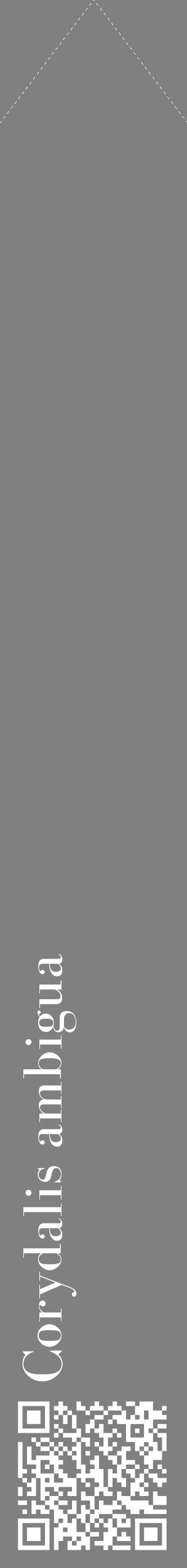 Étiquette de : Corydalis ambigua - format c - style blanche57_simplebod avec qrcode et comestibilité