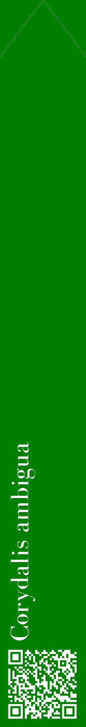 Étiquette de : Corydalis ambigua - format c - style blanche9_simplebod avec qrcode et comestibilité