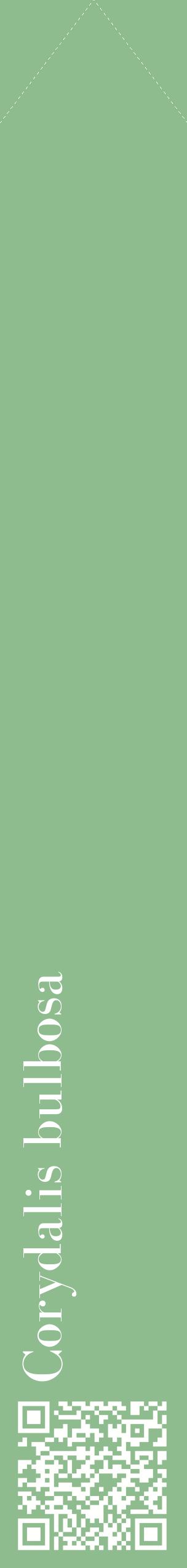 Étiquette de : Corydalis bulbosa - format c - style blanche13_simplebod avec qrcode et comestibilité
