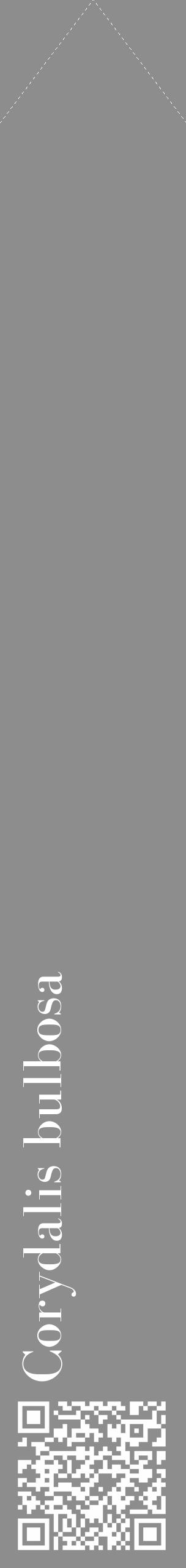 Étiquette de : Corydalis bulbosa - format c - style blanche2_simple_simplebod avec qrcode et comestibilité - position verticale