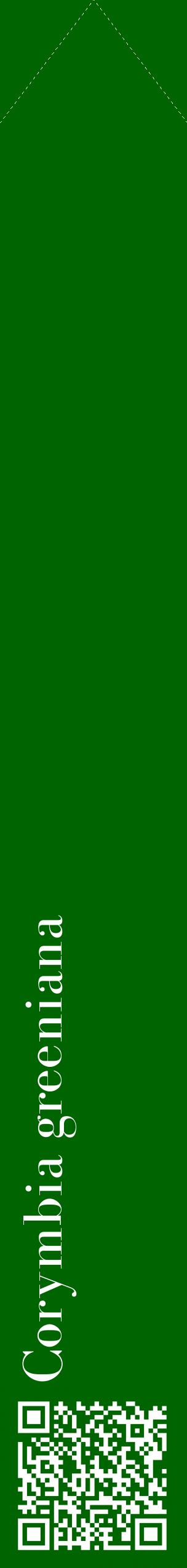 Étiquette de : Corymbia greeniana - format c - style blanche8_simplebod avec qrcode et comestibilité