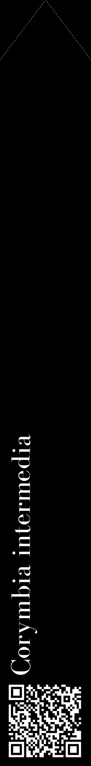 Étiquette de : Corymbia intermedia - format c - style blanche59_simplebod avec qrcode et comestibilité