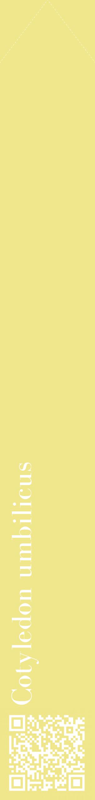 Étiquette de : Cotyledon umbilicus - format c - style blanche20_simplebod avec qrcode et comestibilité