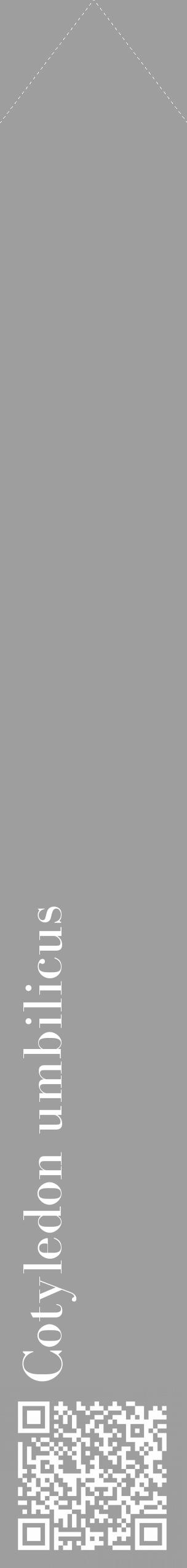 Étiquette de : Cotyledon umbilicus - format c - style blanche42_simple_simplebod avec qrcode et comestibilité - position verticale