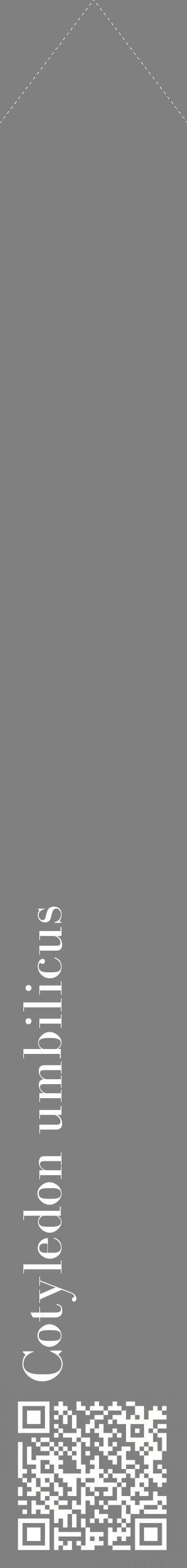 Étiquette de : Cotyledon umbilicus - format c - style blanche57_simplebod avec qrcode et comestibilité