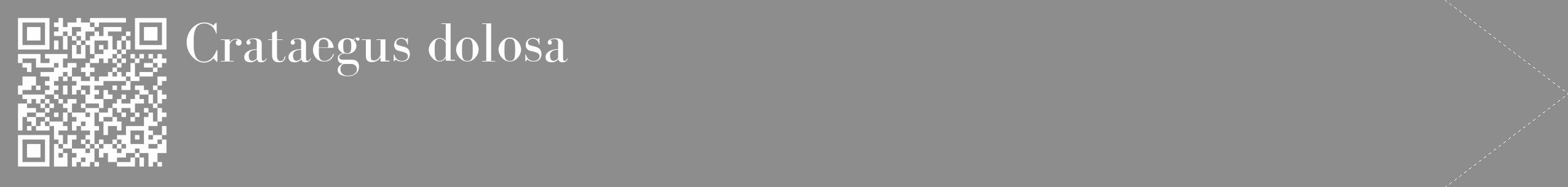Étiquette de : Crataegus dolosa - format c - style blanche2_simple_simplebod avec qrcode et comestibilité