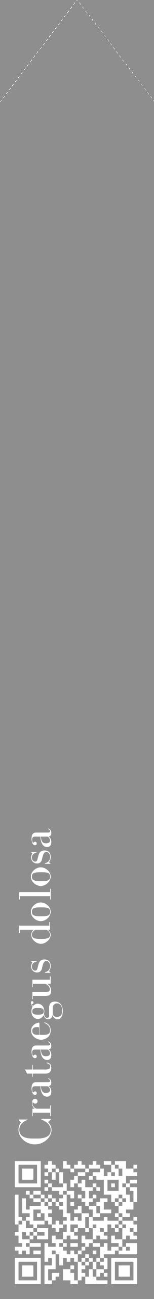 Étiquette de : Crataegus dolosa - format c - style blanche25_simple_simplebod avec qrcode et comestibilité - position verticale