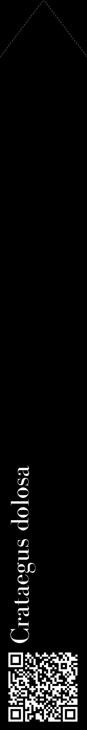 Étiquette de : Crataegus dolosa - format c - style blanche59_simplebod avec qrcode et comestibilité
