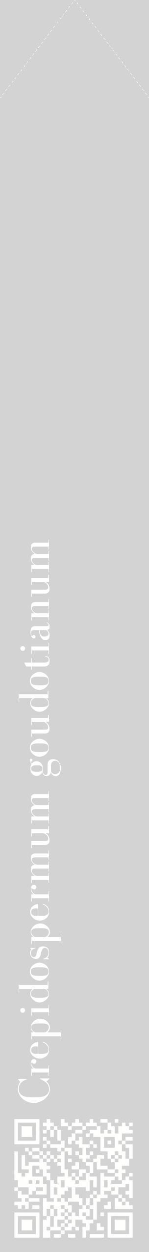 Étiquette de : Crepidospermum goudotianum - format c - style blanche56_simplebod avec qrcode et comestibilité