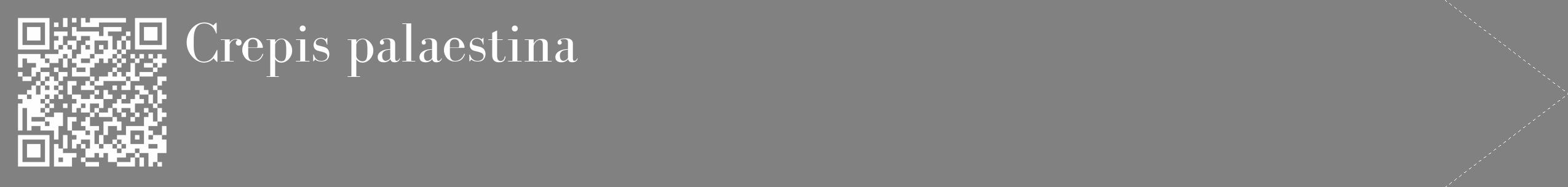Étiquette de : Crepis palaestina - format c - style blanche50_simple_simplebod avec qrcode et comestibilité