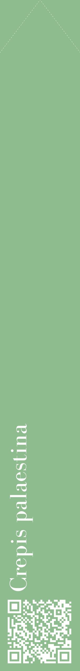 Étiquette de : Crepis palaestina - format c - style blanche13_simplebod avec qrcode et comestibilité