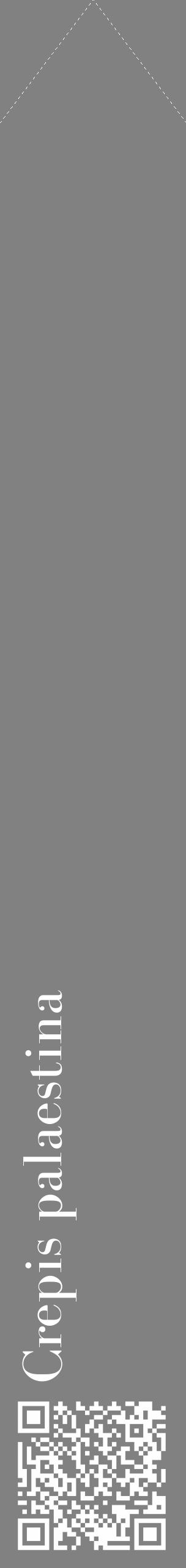 Étiquette de : Crepis palaestina - format c - style blanche50_simple_simplebod avec qrcode et comestibilité - position verticale
