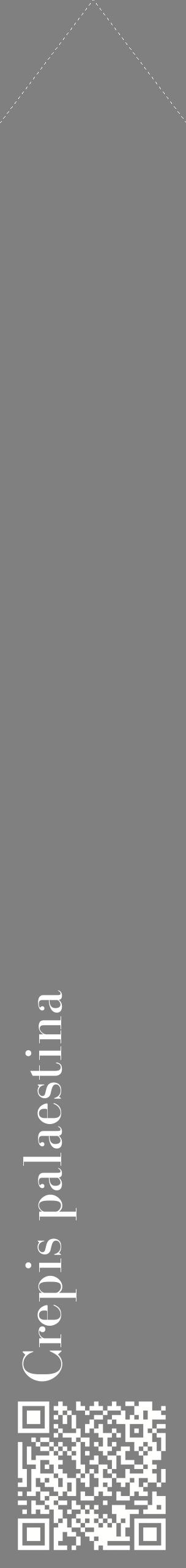 Étiquette de : Crepis palaestina - format c - style blanche57_simplebod avec qrcode et comestibilité