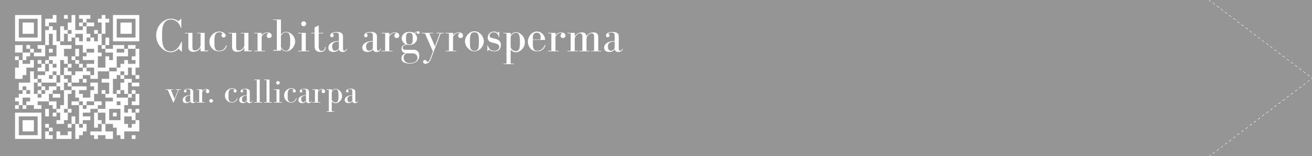 Étiquette de : Cucurbita argyrosperma var. callicarpa - format c - style blanche16_simple_simplebod avec qrcode et comestibilité