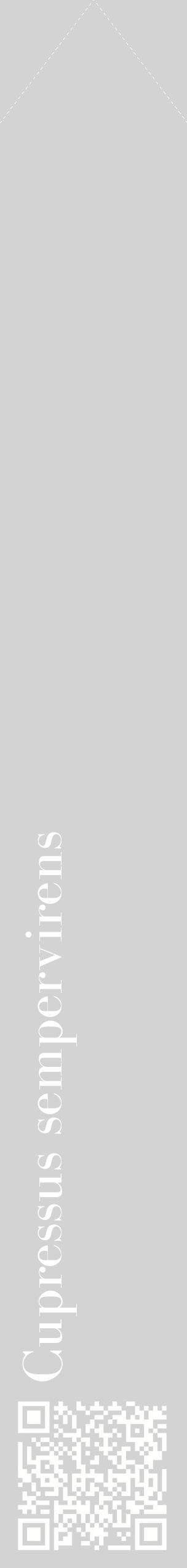 Étiquette de : Cupressus sempervirens - format c - style blanche56_simplebod avec qrcode et comestibilité