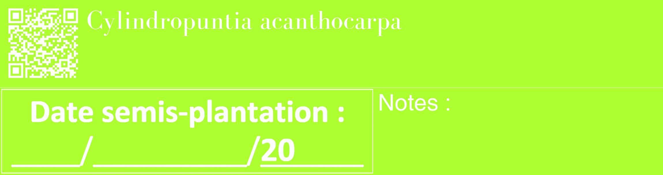 Étiquette de : Cylindropuntia acanthocarpa - format c - style blanche17_basique_basiquebod avec qrcode et comestibilité