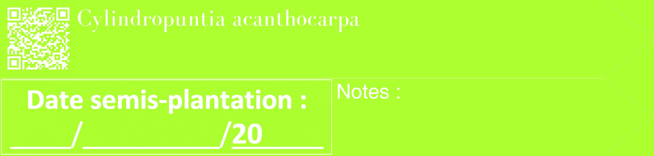 Étiquette de : Cylindropuntia acanthocarpa - format c - style blanche17_simple_simplebod avec qrcode et comestibilité